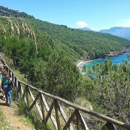 Residence Li Cylentos Policastro Scario A 2 Passi Dal Mare Поликастро Бусентино Екстериор снимка